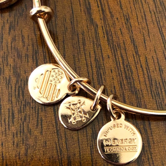 Alex and Ani Guardian Wing Charm Bracelet - Picture 11 of 12